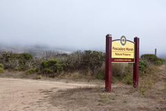 2013-09-15 09-22 Kalifornien 108 Pescadero Marsh Natural Preserve