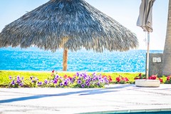 Relaxing pool side on Playa Los Algodones.