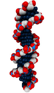 DNA, From ImagesAttr