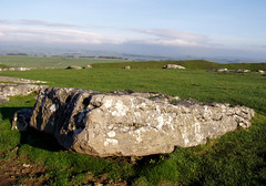 Arbor Low