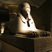 Sphinx • <a style="font-size:0.8em;" href="http://www.flickr.com/photos/26088968@N02/9779407906/" target="_blank">View on Flickr</a>