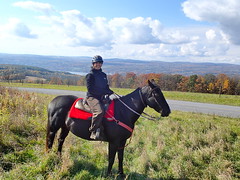 Finger Lakes - Painted Bar Trail Ride • <a style="font-size:0.8em;" href="http://www.flickr.com/photos/34335049@N04/14187410422/" target="_blank">View on Flickr</a>