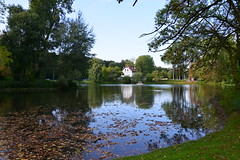 Le petit étang Mellaerts