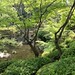 Garten im Wakayama Castle