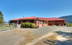 110 Waggs Road, Mountain River TAS