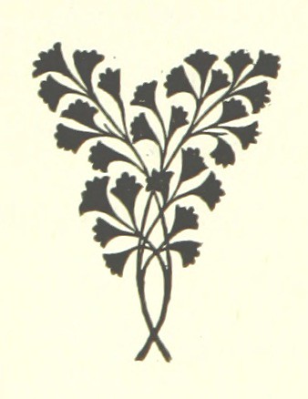 Image taken from page 8 of 'Jedwood Justice. A novel'