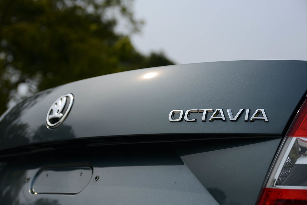 Octavia-11
