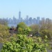 Skyline from Staten Island