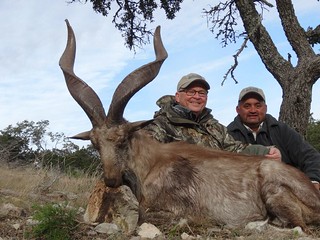 Texas Whitetail Hunt & Exotics - Kerrville 42