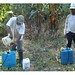Honduras muestra avances en materia de manejo de Contaminantes Orgánicos Persistentes