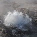 Artesia Geyser erupting (31 May 2013 early evening) 1