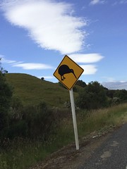 Danger, Kiwis