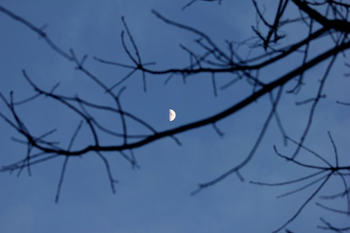 Mond über Soltau 2015 (2/10) • <a style="font-size:0.8em;" href="http://www.flickr.com/photos/69570948@N04/16380938731/" target="_blank">Auf Flickr ansehen</a>