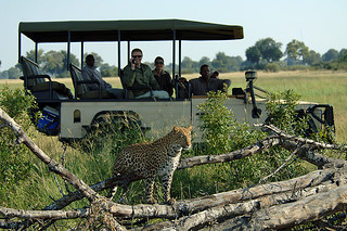 Botswana Okavango Delta Photo Safari 2