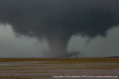 Perryton Texas Tornado • <a style="font-size:0.8em;" href="http://www.flickr.com/photos/65051383@N05/27005029804/" target="_blank">View on Flickr</a>