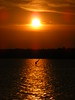 Sunset Surfer • <a style="font-size:0.8em;" href="http://www.flickr.com/photos/109566135@N04/11087820496/" target="_blank">View on Flickr</a>
