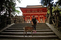 Japan - Osaka, Nara
