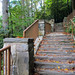 Stairs walking up from Dry Falls in the Nantahala Forest, right off N.C. 64.