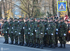 1 Decembrie 2013 » Ziua Naţională a României
