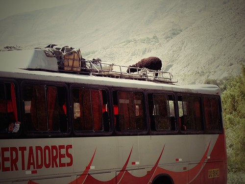 Passager surprise, Pérou