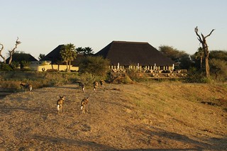 Namibia Photo Safari 28
