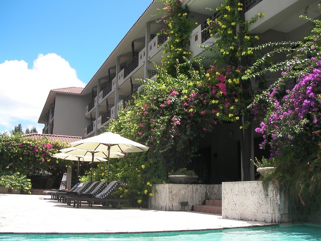 チェックインまで少し時間があったので、先にホテルのプールを。｜星野リゾートニラカナイ西表島