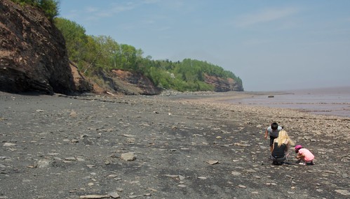 Blue Beach fossil hunt