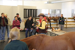 Saddle Fitting Workshop with Todd Bailey