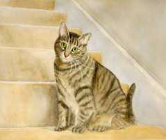 IMG_0405_cat_on_stairsa