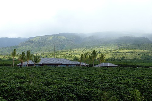 Ka`anapali Coffee estates