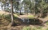 544 Welshs Creek, North Macksville NSW