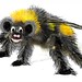 Bumble Bear • <a style="font-size:0.8em;" href="http://www.flickr.com/photos/77431036@N04/9616914253/" target="_blank">View on Flickr</a>