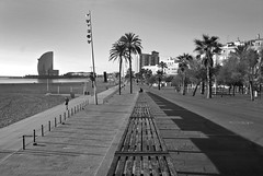 Barceloneta, punto de fuga