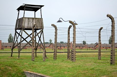 Auschwitz (5)