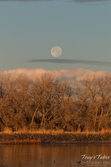 Moonset at the Rocky Mountain Arsenal