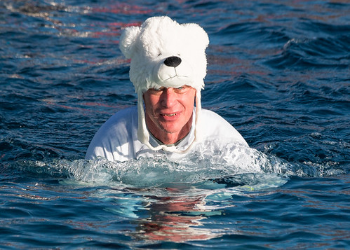 Polar bear paddle