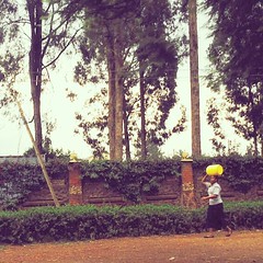 Ngong Road