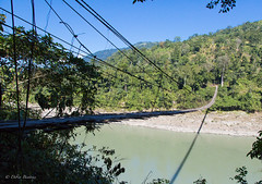 The longest hanging bridge in Asia, "300m" Arunachal Pradesh • <a style="font-size:0.8em;" href="http://www.flickr.com/photos/71979580@N08/15226878344/" target="_blank">View on Flickr</a>