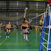 CADU Voleibol 14/15 • <a style="font-size:0.8em;" href="http://www.flickr.com/photos/95967098@N05/15921786185/" target="_blank">View on Flickr</a>