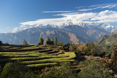 Nepal - Trek in Anapurna