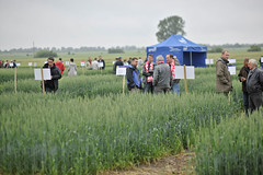 Agro Budziejewo 2012