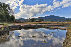 Un petit hameau sur le plateau de Ziro, Arunachal Pradesh • <a style="font-size:0.8em;" href="http://www.flickr.com/photos/71979580@N08/15661646928/" target="_blank">View on Flickr</a>