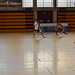 Fútbol Sala 14/15 • <a style="font-size:0.8em;" href="http://www.flickr.com/photos/95967098@N05/15601407817/" target="_blank">View on Flickr</a>