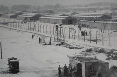 Auschwitz (15)