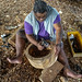 General Photos: Samoa by Asian Development Bank