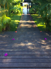 Flowers welcome us to Anjajavy. (Laura iPhone photo.)