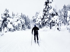Cross country skiing in the wilderness.