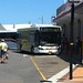 Port Stephens Buses