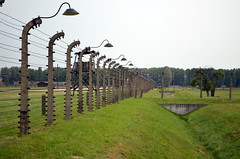 Auschwitz (14)