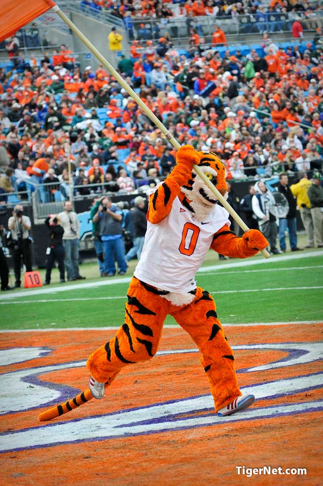 Clemson Football Photo of Bowl Game and southflorida and tiger